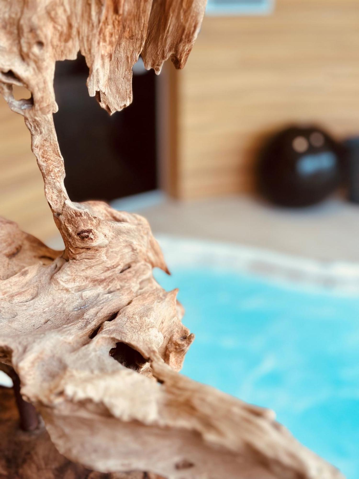 Brit Hotel & Spa Saint Brieuc Plérin Dış mekan fotoğraf